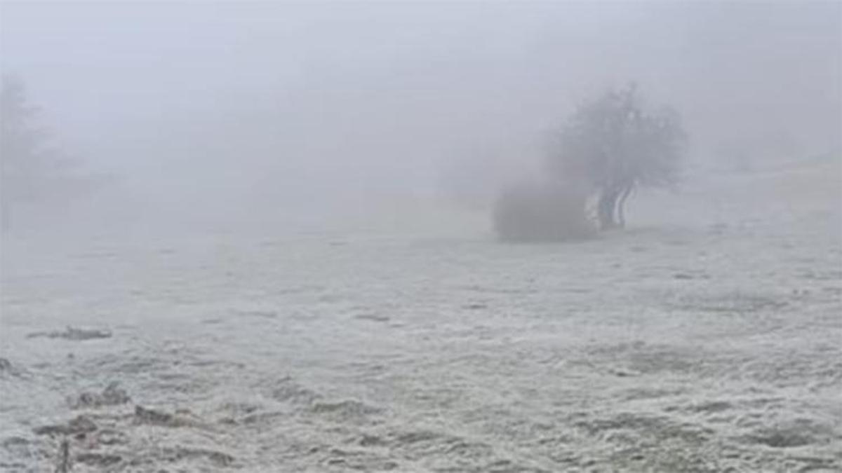Eskişehir'e lapa lapa kar yağdı! Her yer beyaza büründü