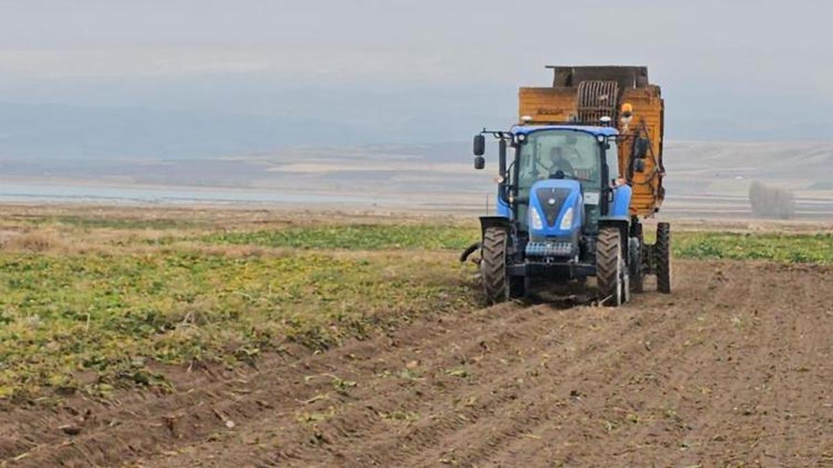 Bitlis'te tarlalarda söküm devam ediyor! Verim çif…