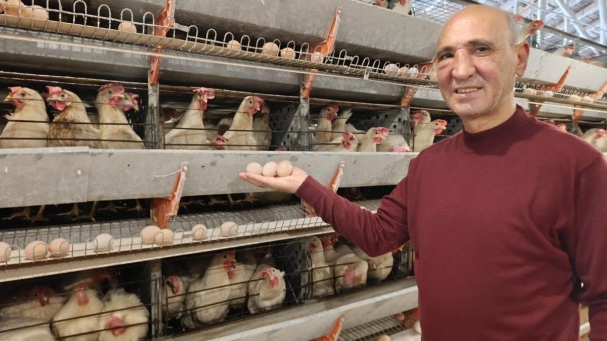 Kütahya'nın beldesini ayağa kaldıran tesis! Üretime 15 bin adetle başladı