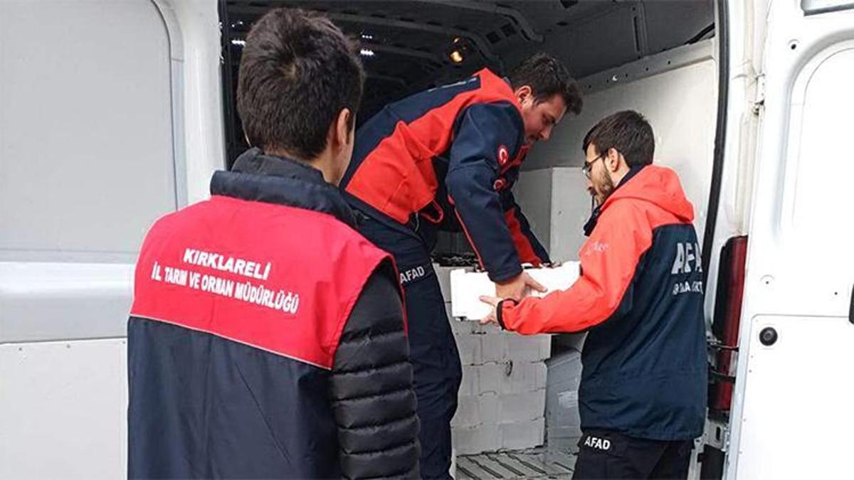 Kırklareli'de 3 ton bedava dağıtılacak! Kasa kasa getirildi