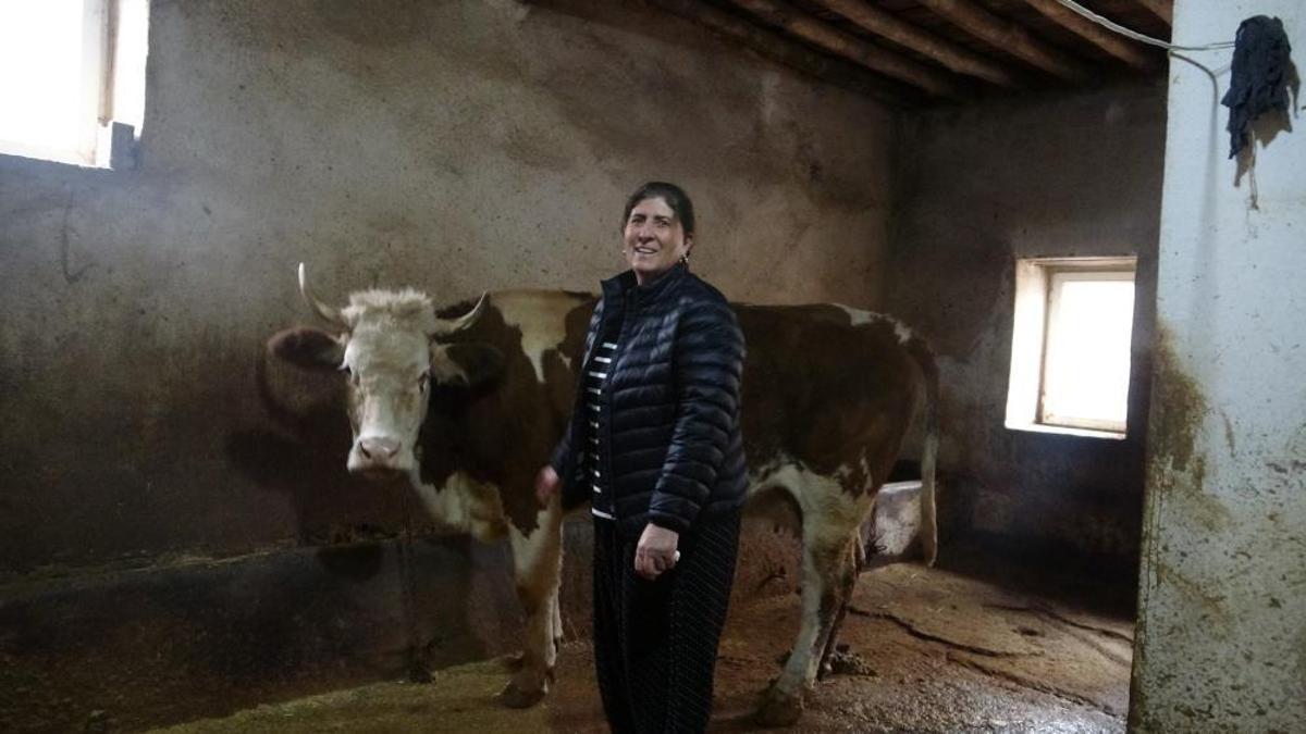 Mahallede 8 erkek adayı solladı! Tuncelili muhtar hem hem hayvancılık yapıyor, hem de mahallesine hizmet ediyor