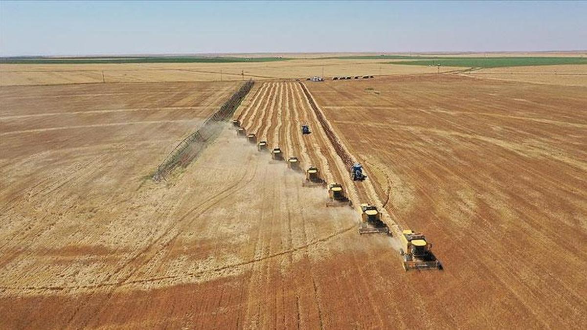 Şanlıurfa tarımı yeni bir döneme giriyor: B-Reçete Sistemi başlıyor