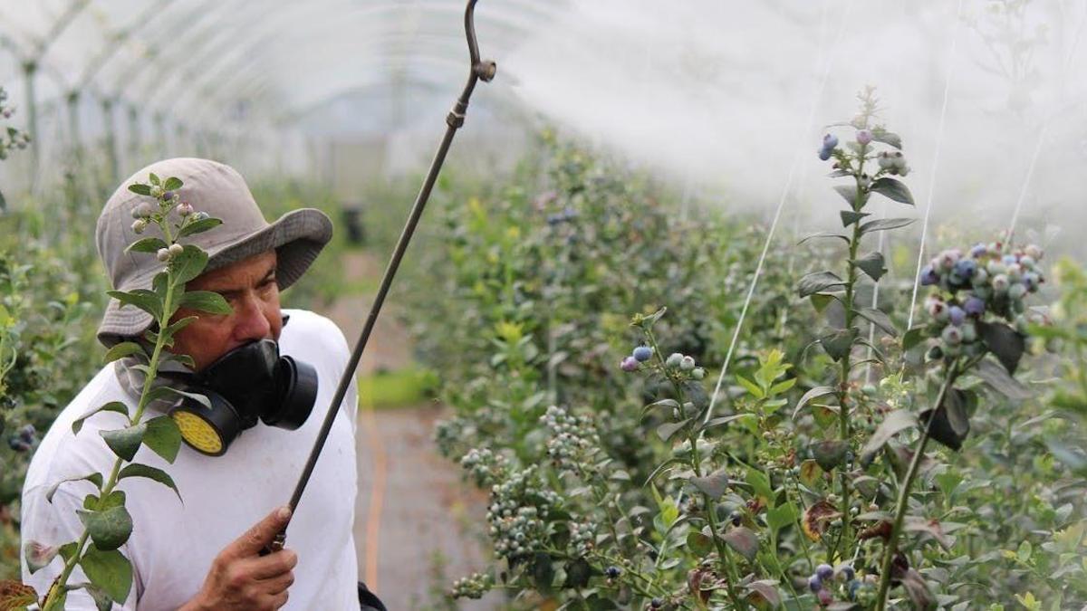 Sivas'ta 2026 yılında bir ilk olacak: 3 meslekten başvuru yapılacak!