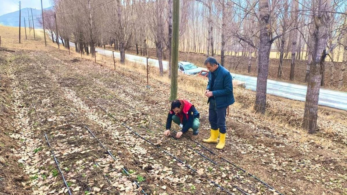 Üreticiye ek gelir kapıda: Bayburt'ta incelendi, parsel parsel karar verildi