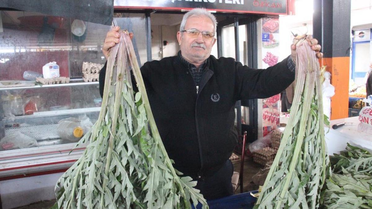 Karaciğer dostu sebze pazarda yoğun ilgi görüyor! Fiyatları 50-100 TL arasında değişiyor