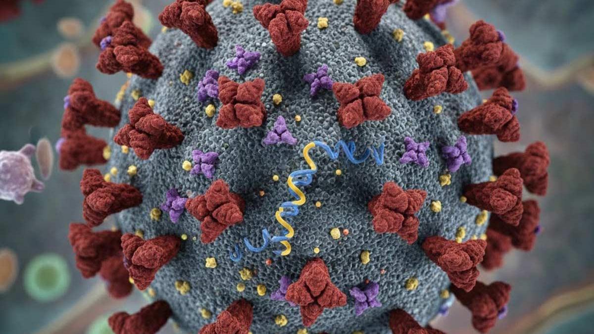 Mutasyonlu virüs alarmı: Türkiye'ye H3N2 uyarısı