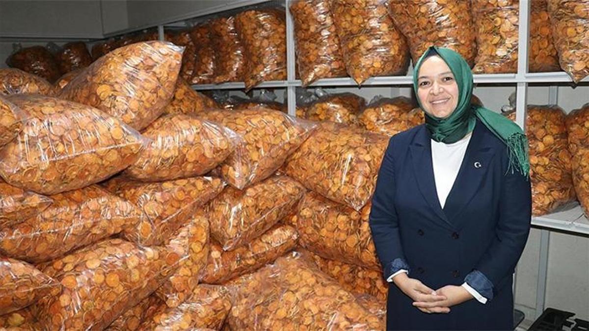 Memur olarak çalıştığı işinden istifa etti, sıfırdan başladı! Şimdi Kanada'ya ihracat yapıyor