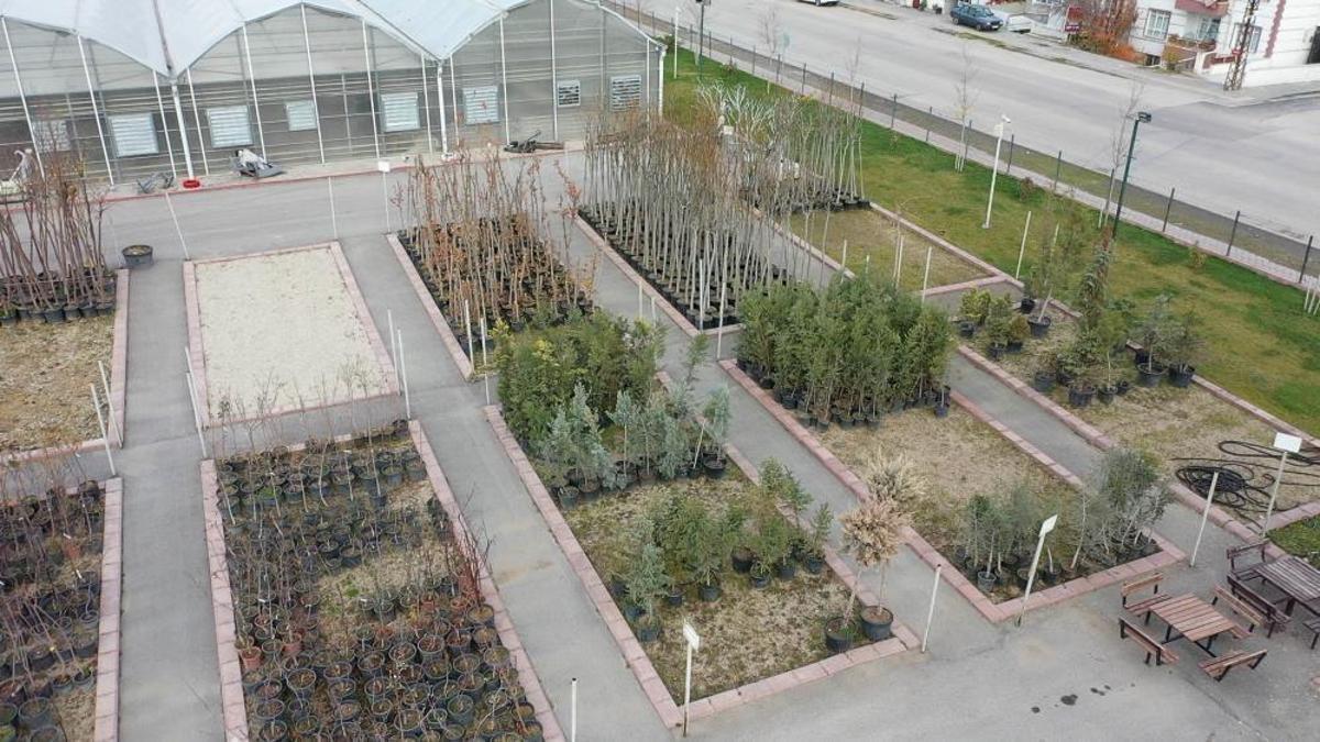 Ankara'da belediye mahalleye kurdu, tüm ilçeye ekiliyor! Mahalleliye ek gelir kapısı oldu