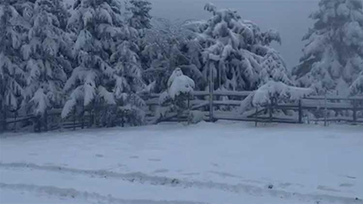Bolu'da sistem kuruldu! 30 Nisan tarihine kadar devam edecek