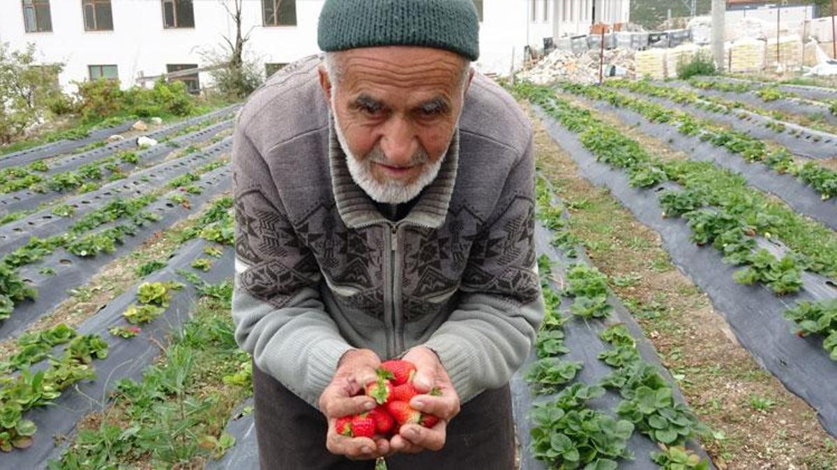 Türkiye onu 'Hayır Bahçesi' ile tanımıştı: Isparta'nın Sav beldesinde acı haber geldi