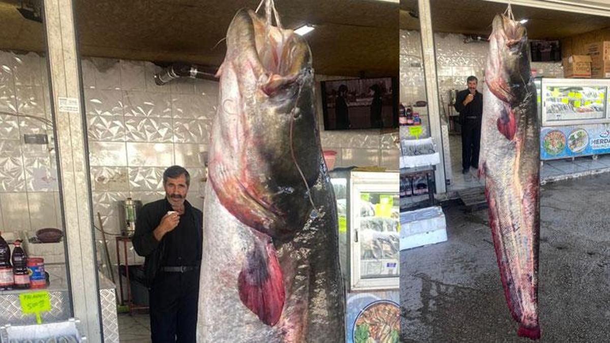 Kahramanmaraş Menzelet Barajı’nda balıkçı ağlarına dev takıldı