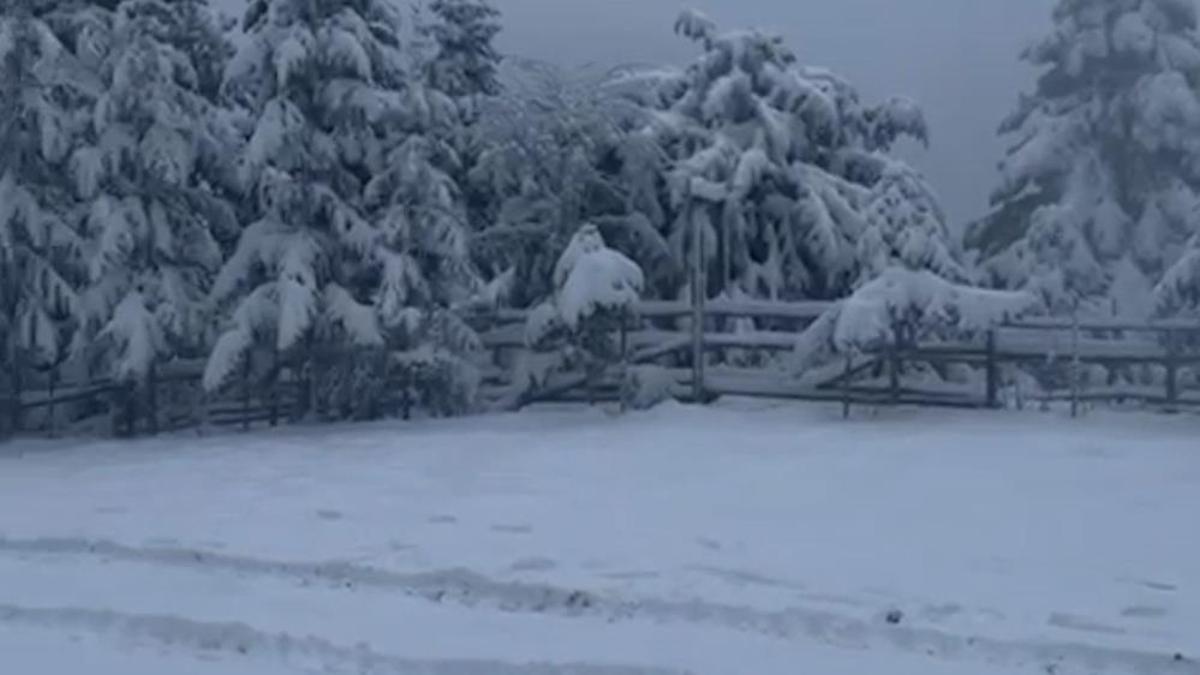 Bolu'nun zirvesine üretim sistemi kuruldu: 30 Nisan'a kadar orada kalacak!