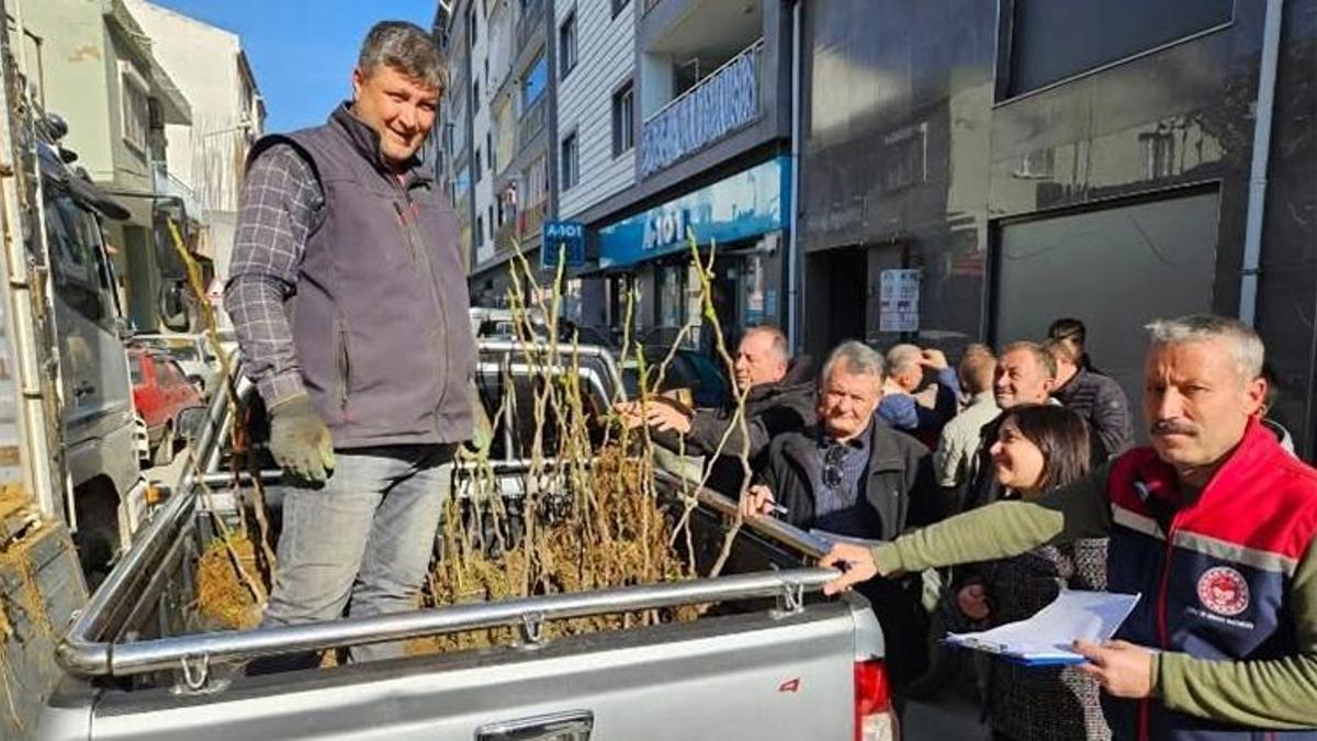 Aydın'da üreticiye büyük destek! 4 bin adet bedava dağıtıldı