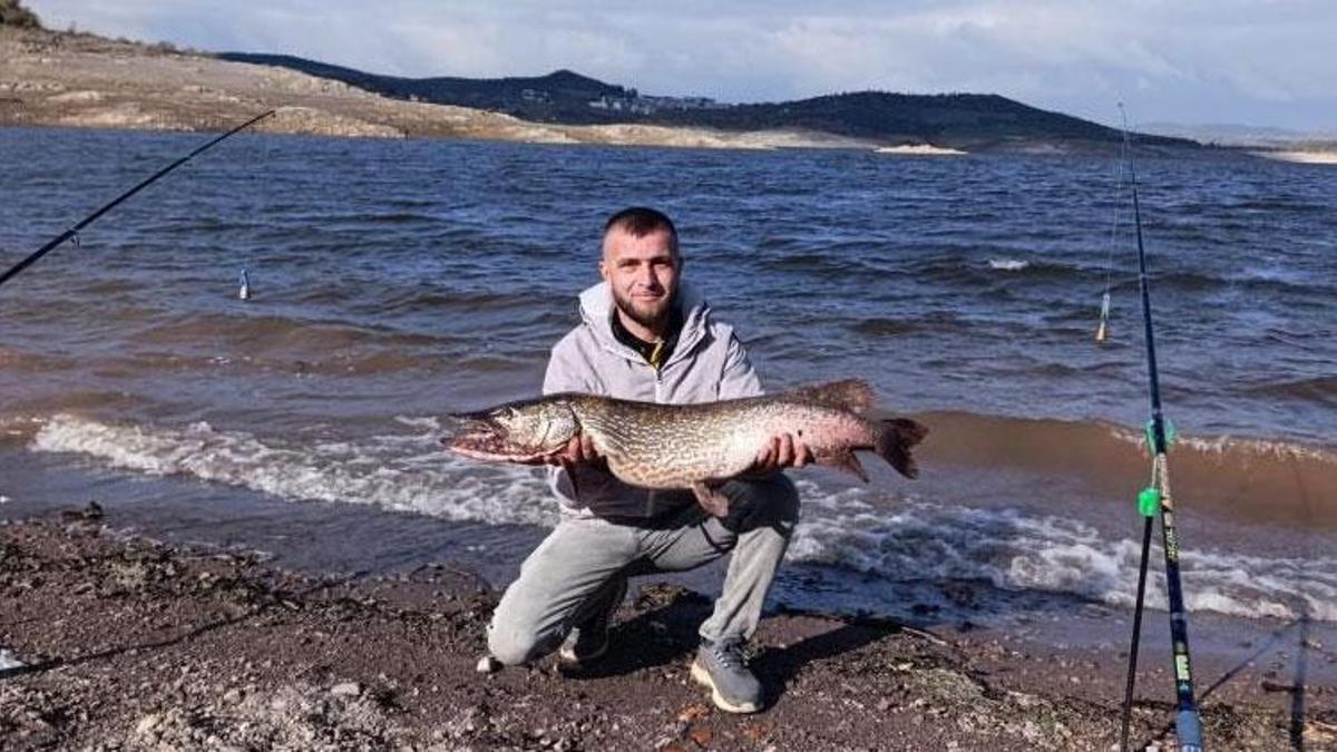 Balıkesir Sındırgı'da dev turna balığı yakalandı