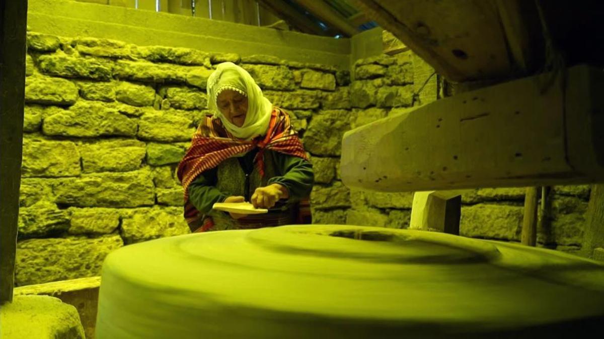 Tarihi değirmenler dönüyor, mısır unu gurbet yollarına çıkıyor