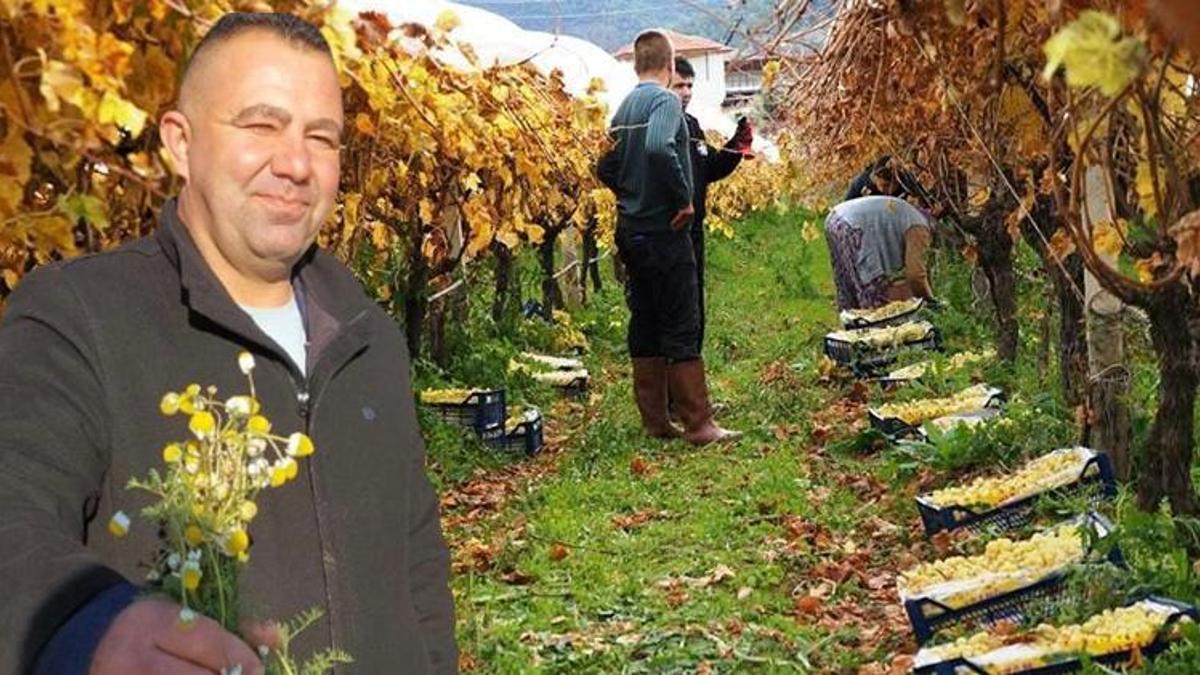 Manisa'da zemheri günlerinde şaşkına çeviren görün…