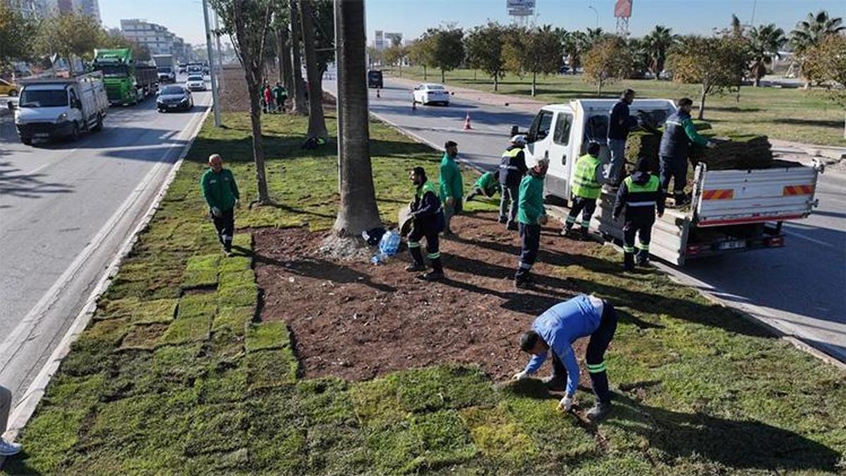 Adana'da susuzluğa meydan okuyan "akıllı çim" devri! İşte yeni nesil yeşil alanlar