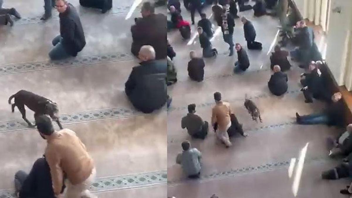 Kocaeli’de cuma vaazı sırasında camiye pitbullun girdiği anlar kamerada