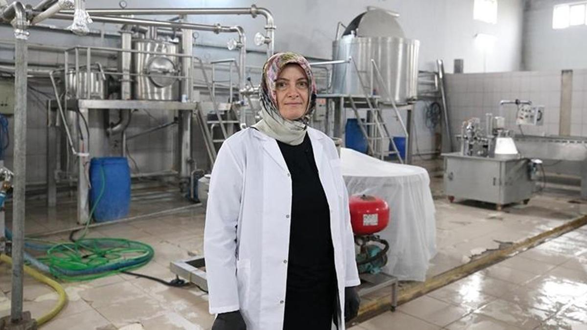 Lise mezunu Muş'un köyüne kurdu! Günde 10 ton üretiyor, birçok şehre kasa kasa gönderiyor