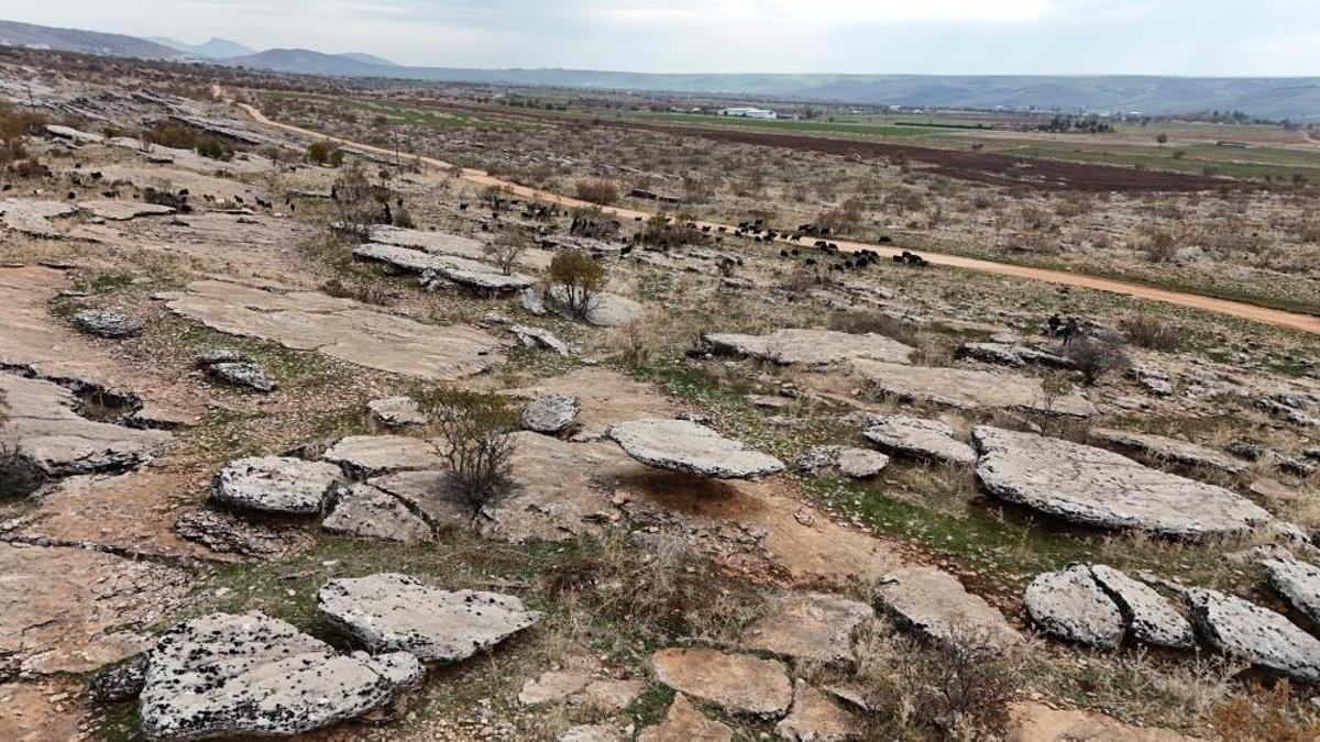 Diyarbakır'da zemin kaydıkça oluştu! Köylü hareket halinde fark etti: Sırrı araştırılıyor