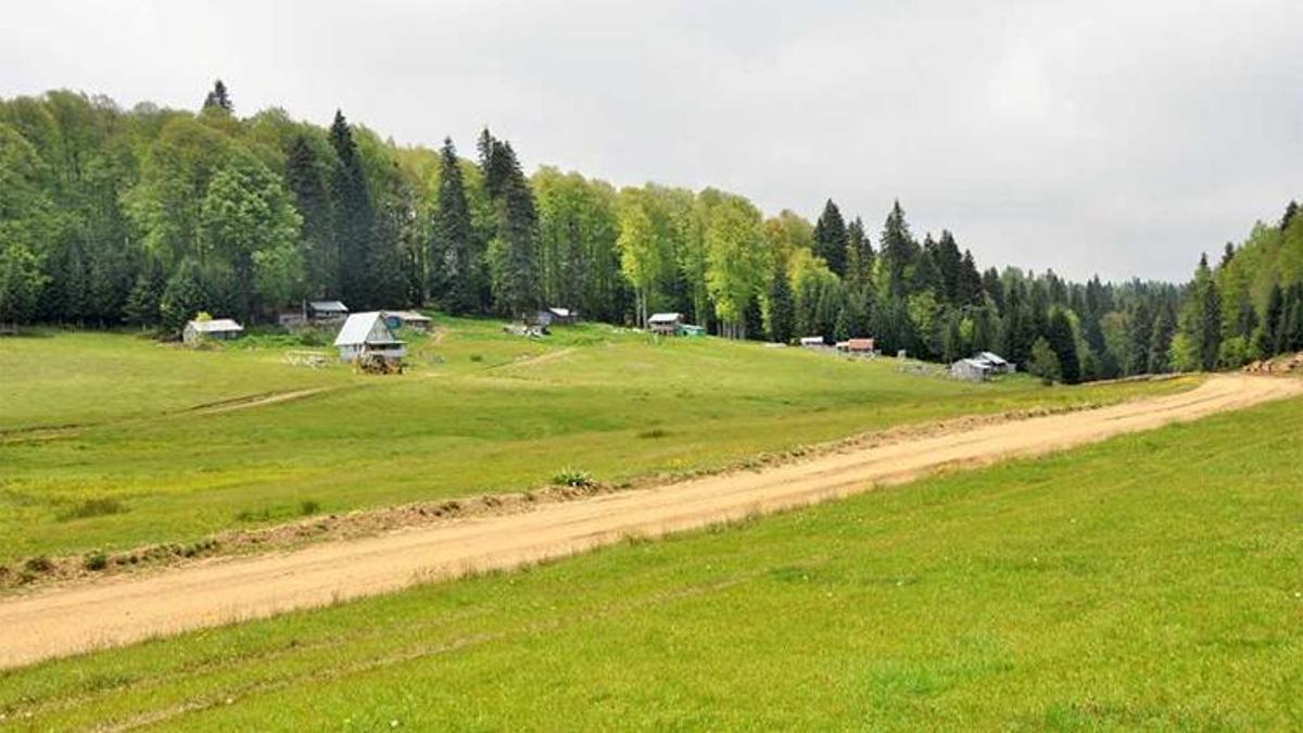 Pozantı’da yazın serin kaçamağı: Akçatekir Yaylası