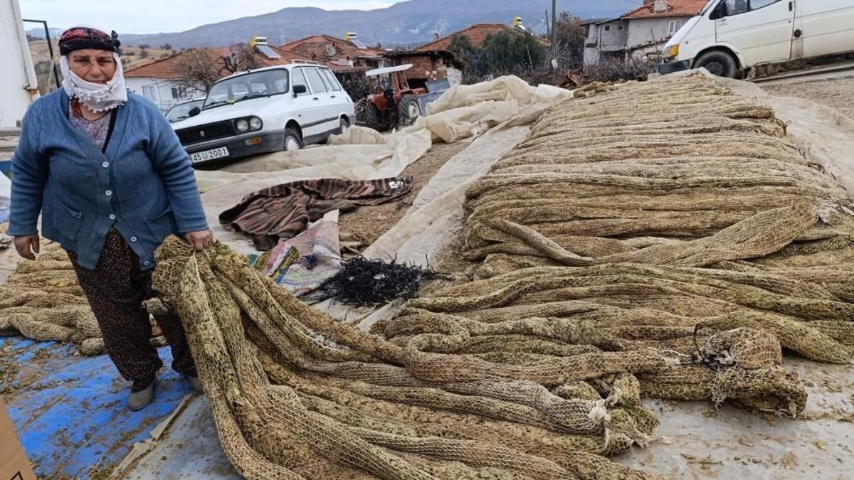 Şubat ayında serüven başlamıştı! 10 aylık emeğin ardından satış fiyatı 250 lira oldu