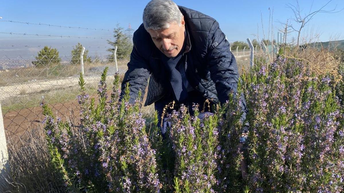 10 yıllık çalışma başarıya ulaştı! Artık bu ürün Eskişehir'de üretilebiliyor