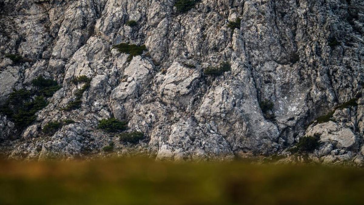 Manisa ve İzmir arasında görüldü! Bölgede yaşayanl…