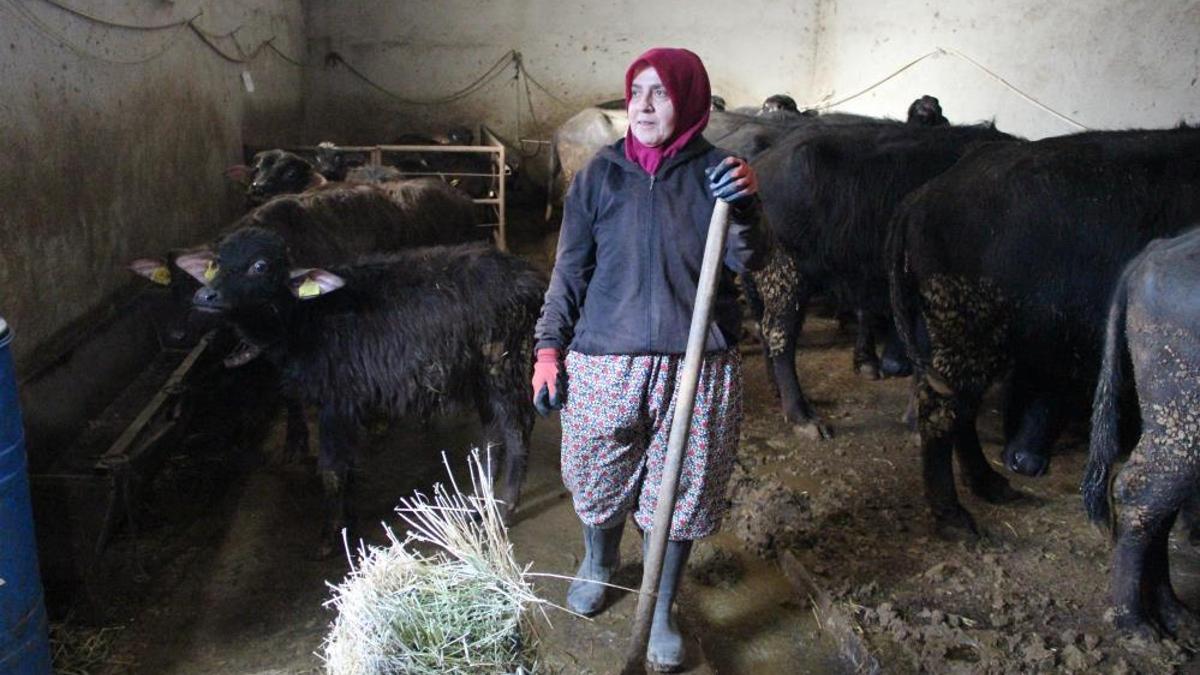 Kadın girişimcinin azmi! 11 hayvanla başladı, şimdi siparişlere yetişemez hale geldi