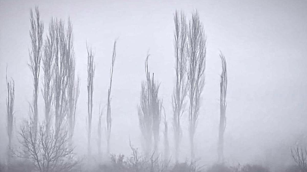 Evliya Çelebi müjdesini vermişti! Muğla'nın yaylasında görüldü
