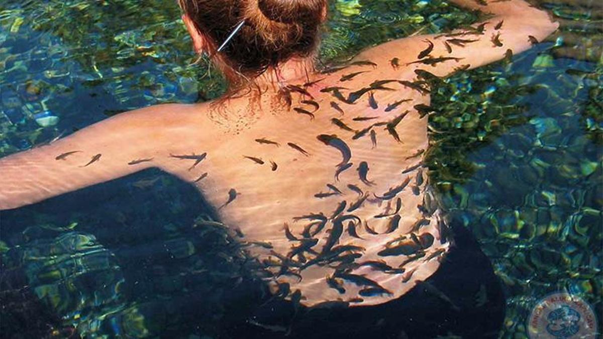 Kangal Balıklı Kaplıca