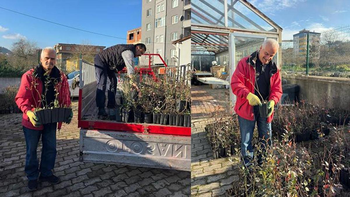 Giresun'dan mavi yemiş atağı! Çiftçiye ek gelir sağlayacak