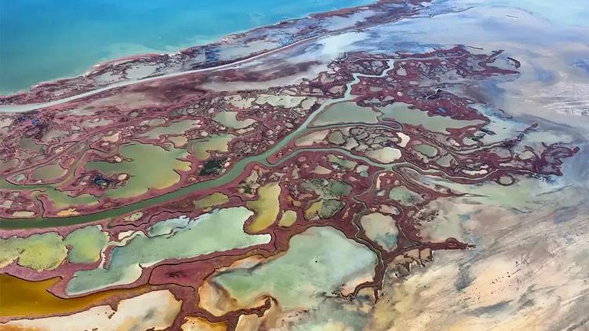 Adana’nın saklı cenneti: Yumurtalık Lagünü’nde doğa ve geleneğin muazzam buluşması