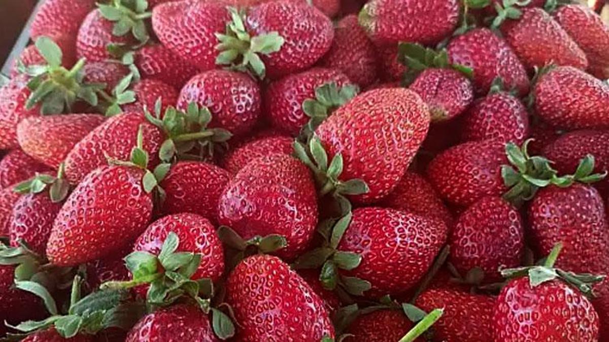 Konya'da bir lezzet daha resmen tescillendi