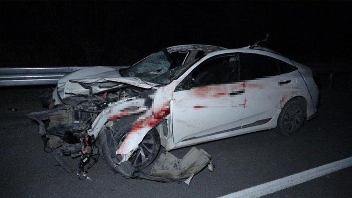 Malatya-Ankara karayolunda feci olay: Milyonluk taylar karayolunda telef oldu