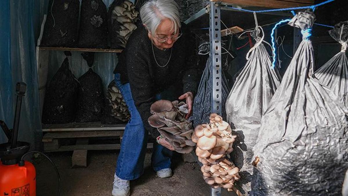 İşçiliği az, getirisi çok! Küçük bir alanda başladılar şimdi para basıyorlar!