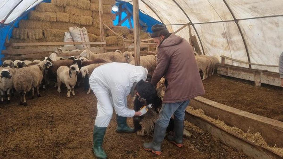 Sivas'ta yeni karar alındı! Köylerde başladı, artık zorunlu
