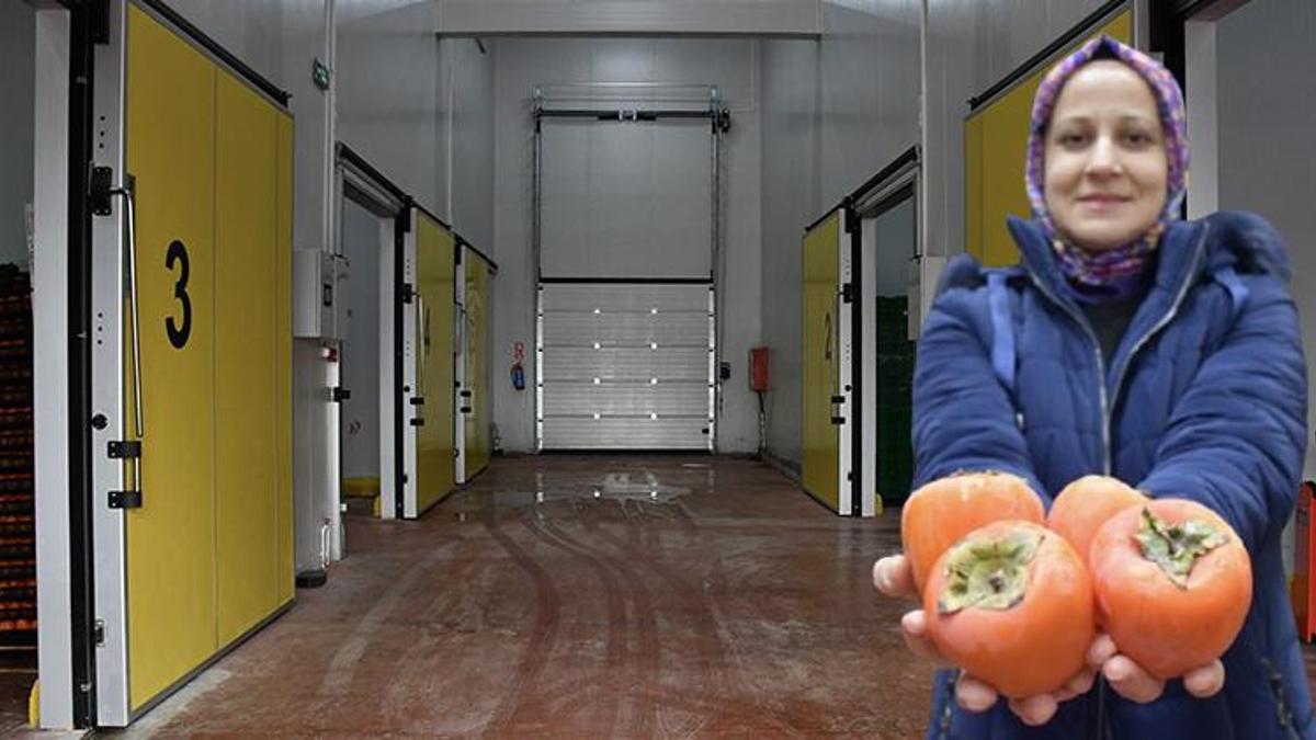 Bilecikli kadın girişimci hibe desteğiyle köyünde tesis kurdu! Ürünler Türkiye’nin dört bir yanına gönderiliyor