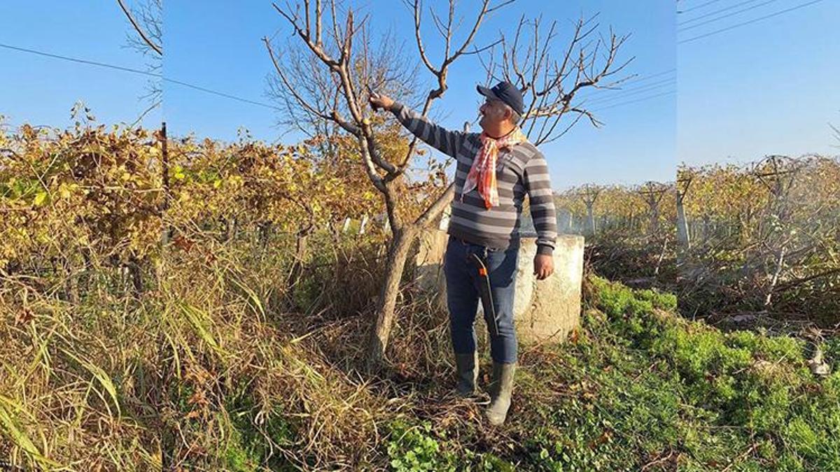 Manisa'da çiftçinin kış mesaisi başladı! Verim artışı için kritik dönem