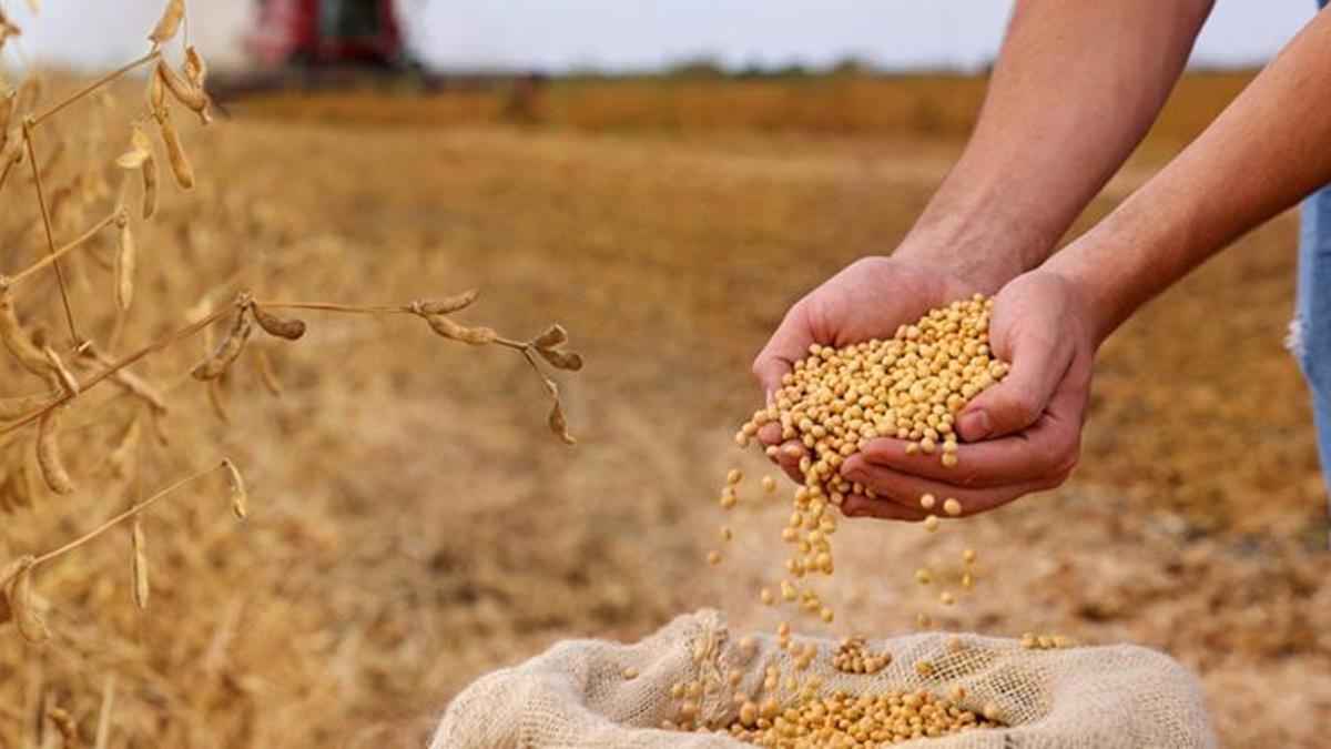 Adanalı çiftçiye 58 milyonluk müjde! Ödemeler bugün hesaplara yatıyor