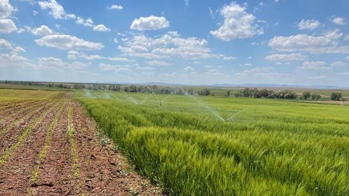 Ereğli'de merkez, Konya'da 5 model hayata geçiyor! Çiftçiye 5 ürün tavsiye edildi