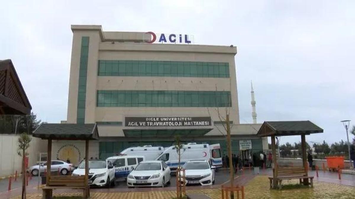 Diyarbakır'da kusursuz işleyen cinayet planı: Çıka…