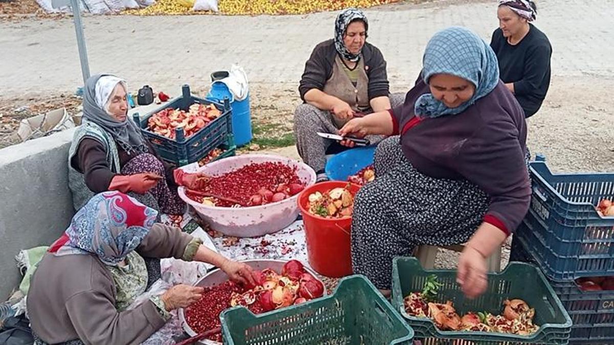 İmece usulü üretiliyor, yıllarca bozulmuyor: Mersinli kadınların yeni gelir kapısı oldu