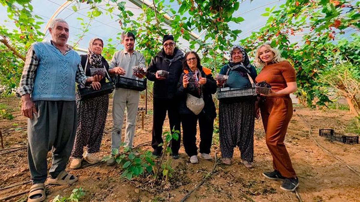 Mersin'de 2025 yılının son hasadı başladı! Kalitesi ve fiyatı üreticinin yüzünü güldürdü