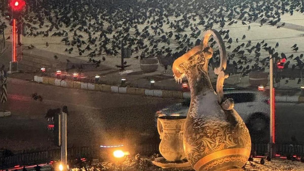 Erzincan’da akşam saatlerinde ortaya çıkıyorlar! Bir anda gökyüzünü sarıyorlar, belediye kovalama ekibi bile kurdu