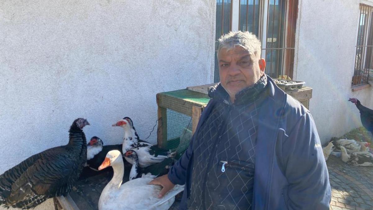 Tezgâhlara yılbaşı da etki etmedi! Hindi var, kaz var alıcı yok