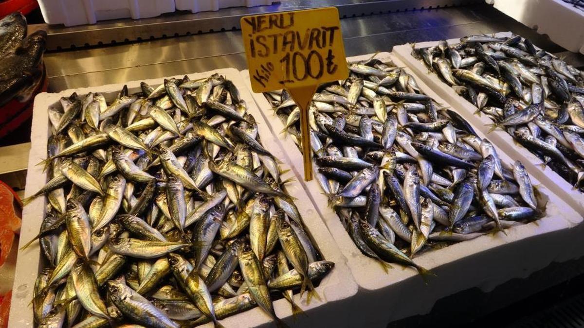 İstavrit hamsiyi tahtından etti! Artık en ucuz oldu