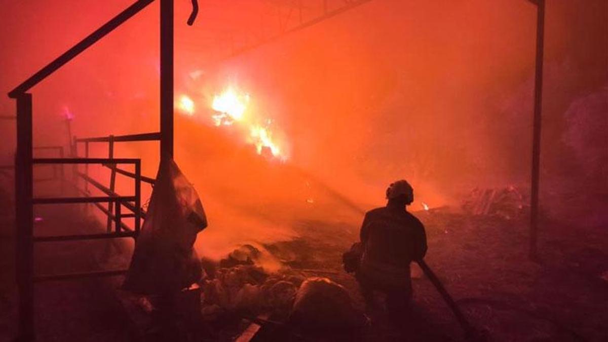 Hatay'da samanlıktan yükselen alevler, besihaneye ulaşmadan kontrol altına alındı