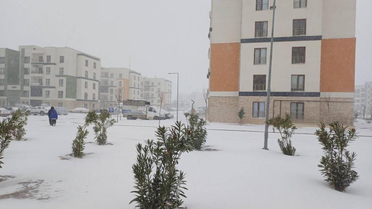 Antep fıstığı için beyaz haber geldi! Çiftçi 2025'in son gününde güldü