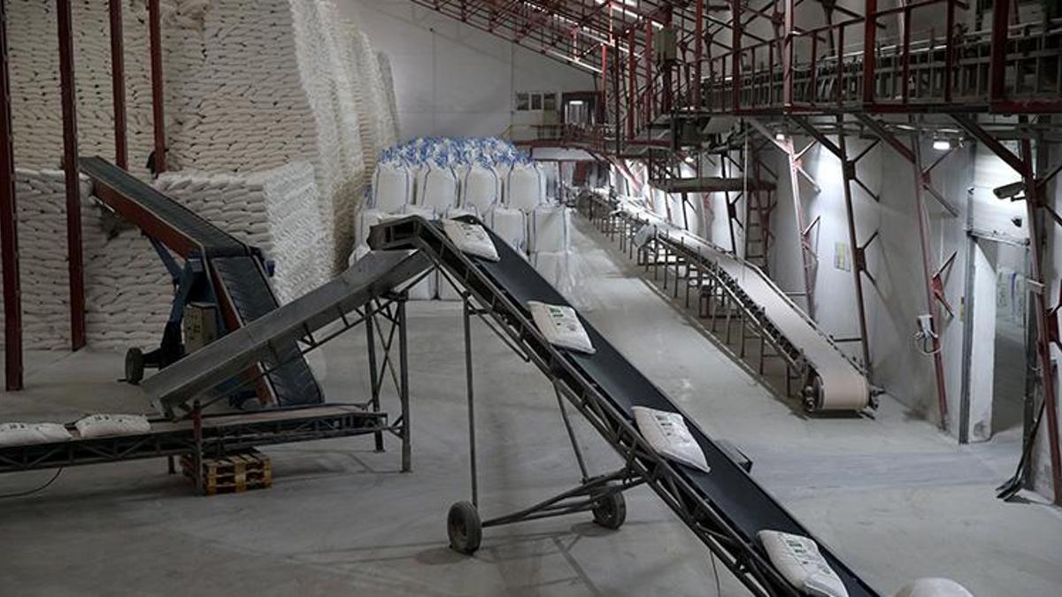 Türkiye’de bir ilk! Kayseri'de deneme ekimi sonuç verdi: Üreten çiftçi 2 kat para kazanacak